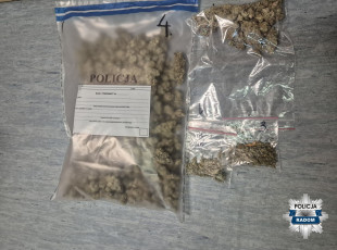 300 gramów marihuany znalezione u 16-latka z Radomia  