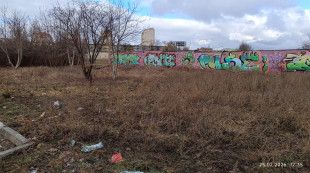 Teren przyszłego wybiegu dla psów Nad Ptokiem