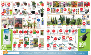 Potrzebujesz rzeczy do domu i ogrodu? Sprawdź tutaj