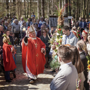 Uroczysta Niedziela Palmowa na jubileusz 50-lecia Muzeum Wsi Radomskiej