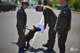 Szer. Aira. Pies z awansem na pierwszy stopień wojskowy w radomskiej brygadzie WOT  [FOTO]