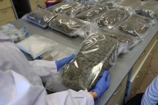 Narkotyki warte 2 mln zł przejęte przez radomską i kozienicką policję [FOTO]