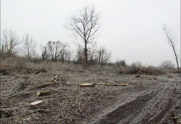 fot. Klub Przyrodników Regionu Radomskiego