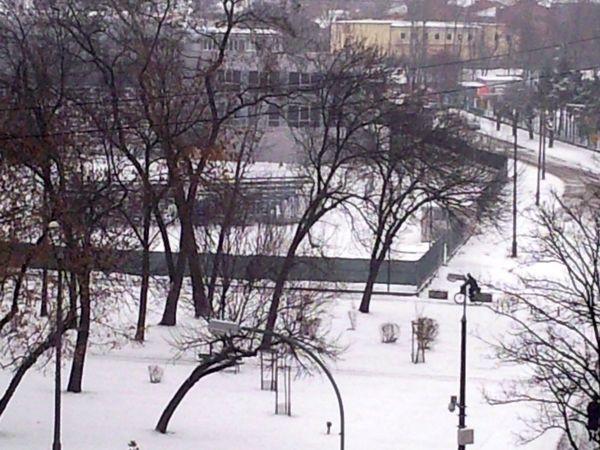 Dziś rano mieszkańców Radomia i regionu powitała biała pierzyna.