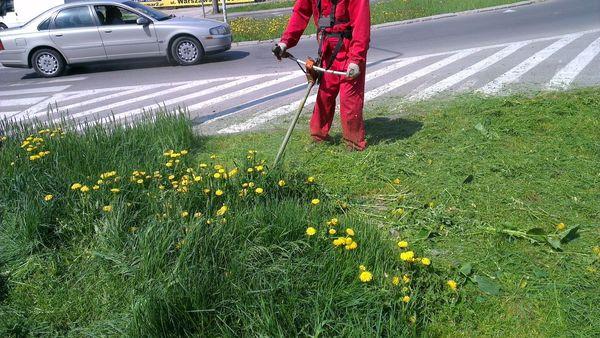fot. MZDiK