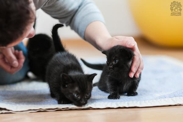 Foto: Martyna Skrok