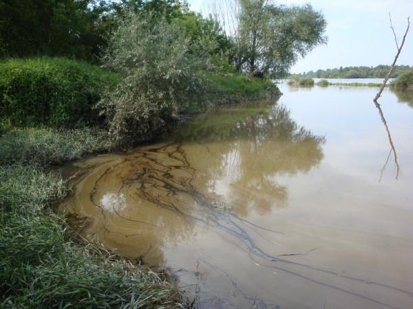 Foto: Archiwum WWF Polska
