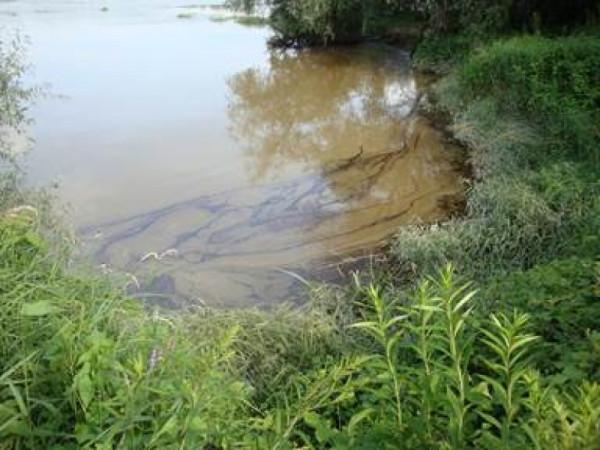 Foto: WWF Polska