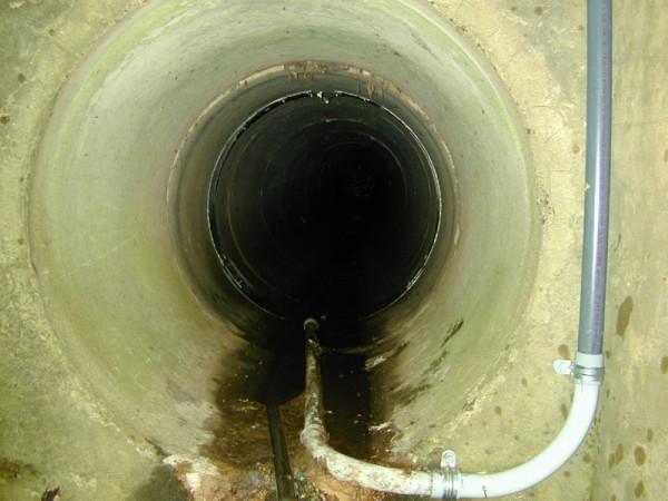 Foto: wikipedia