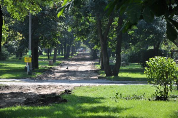 Foto: Radom.pl