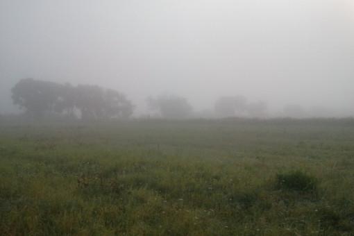 Poranna mgła ma ustąpić w ciągu dnia