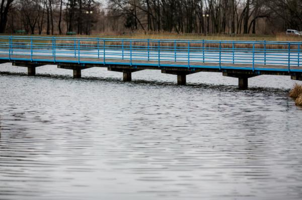 Foto: Radom.pl