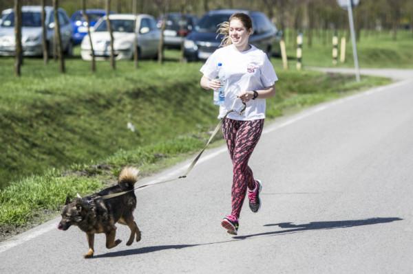 Foto: Radom.pl