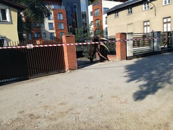 Foto: Straż Miejska - Radom