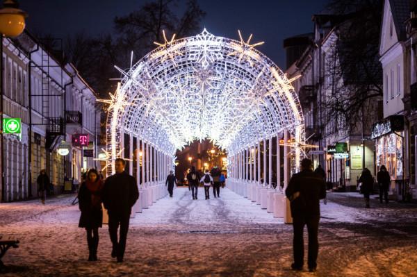 Foto: Radom.pl