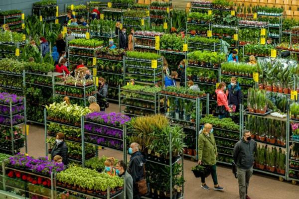 Festiwal roślin odbędzie się w dniach 12-13 marca