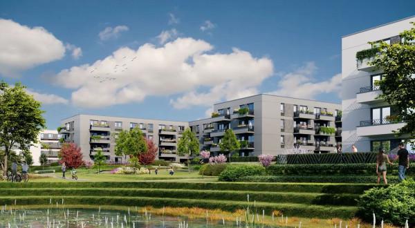 Idea Aurora - nagrodzony