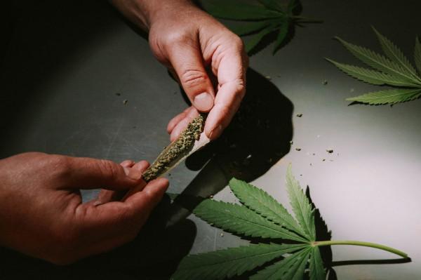 Marihuana. Zdjęcie poglądowe