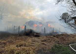 Podpalaczy wytropił policyjny pies. To nie był ich pierwszy wywołany pożar