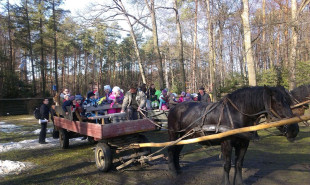 Ferie blisko domu. Gdzie warto się wybrać na jednodniową wycieczkę?