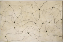 Jakub Julian Ziółkowski, sciezki trwania