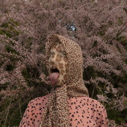 Maurycy Gomulicki, Tamarix de Sauvage z serii Wild Life  2025, druk pigmentowy na papierze, 120 x 12