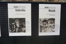V Freedom Film Festiwal, Radom 2026