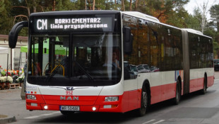 W Radomiu bezpłatna komunikacja miejska w dniu Wszystkich Świętych. Zmiany organizacji ruchu wokół cmentarzy [MAPY]