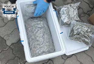Przesłali mu narkotyki paczką kurierską. 20-latek wpadł zaraz po jej odebraniu