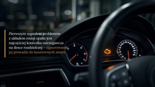 Zapchany filtr DPF: objawy, przyczyny i diagnoza problemów z układem spalinowym