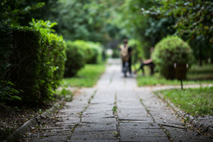 Park na Michałowie. Ogłoszono przetarg