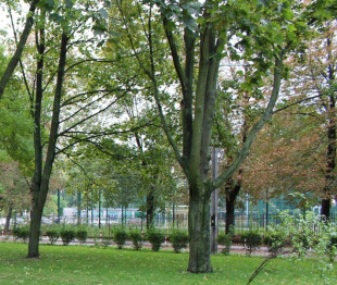 Park Planty znów otwarty