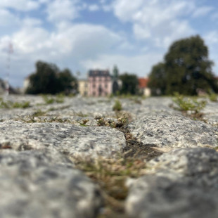 Radom kryje wiele tajemnic. Czas je poznać!