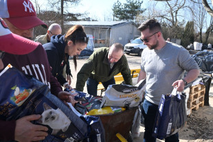 Karma, koce, materace, miski... Pomoc dla zwierząt radomskiego schroniska z inicjatywy Nowej Lewicy