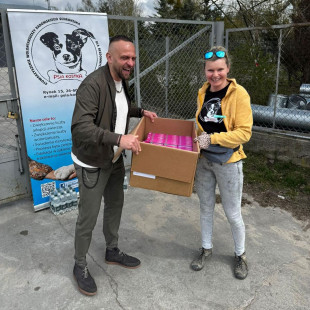 Wszystkie psy ze schroniska w Radomiu dostaną obroże przeciwkleszczowe