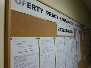 Oferty pracy w Radomiu