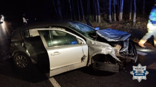 Zderzenie osobówki z jeleniem