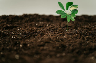 Biohumus - Największą jego zaletą wpływ na życie biologiczne podłoża