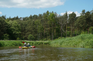 Spływ kajakowy rzeką Radomką