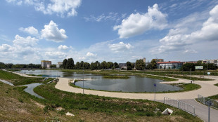 Zbiornik wodny Nad Potokiem