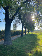 Pogoda w Radomiu i okolicy. Prognoza na dziś i najbliższe dni [SPRAWDŹ]