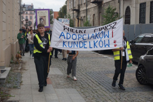 Marsz Adopciaków i Kundelków - Radom 2026