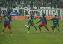 Radomiak Radom - Piast Gliwice