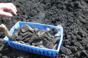 Radomska Letnia Szkoła Archeologii