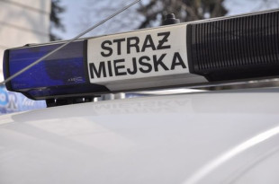 Kradł kostkę brukową