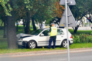 Wjechała w drzewo