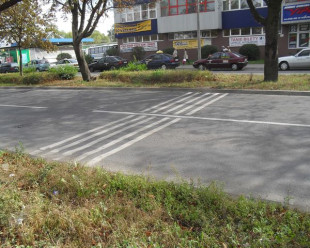 Aby zwrócili uwagę na pieszych