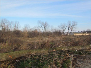 fot. Klub Przyrodników Regionu Radomskiego