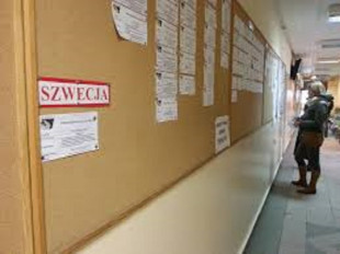 Nowe oferty pracy!