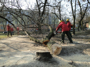 Przebudowy, wycinki, dekoracje, czyli co robił ZUK przez ostatni rok